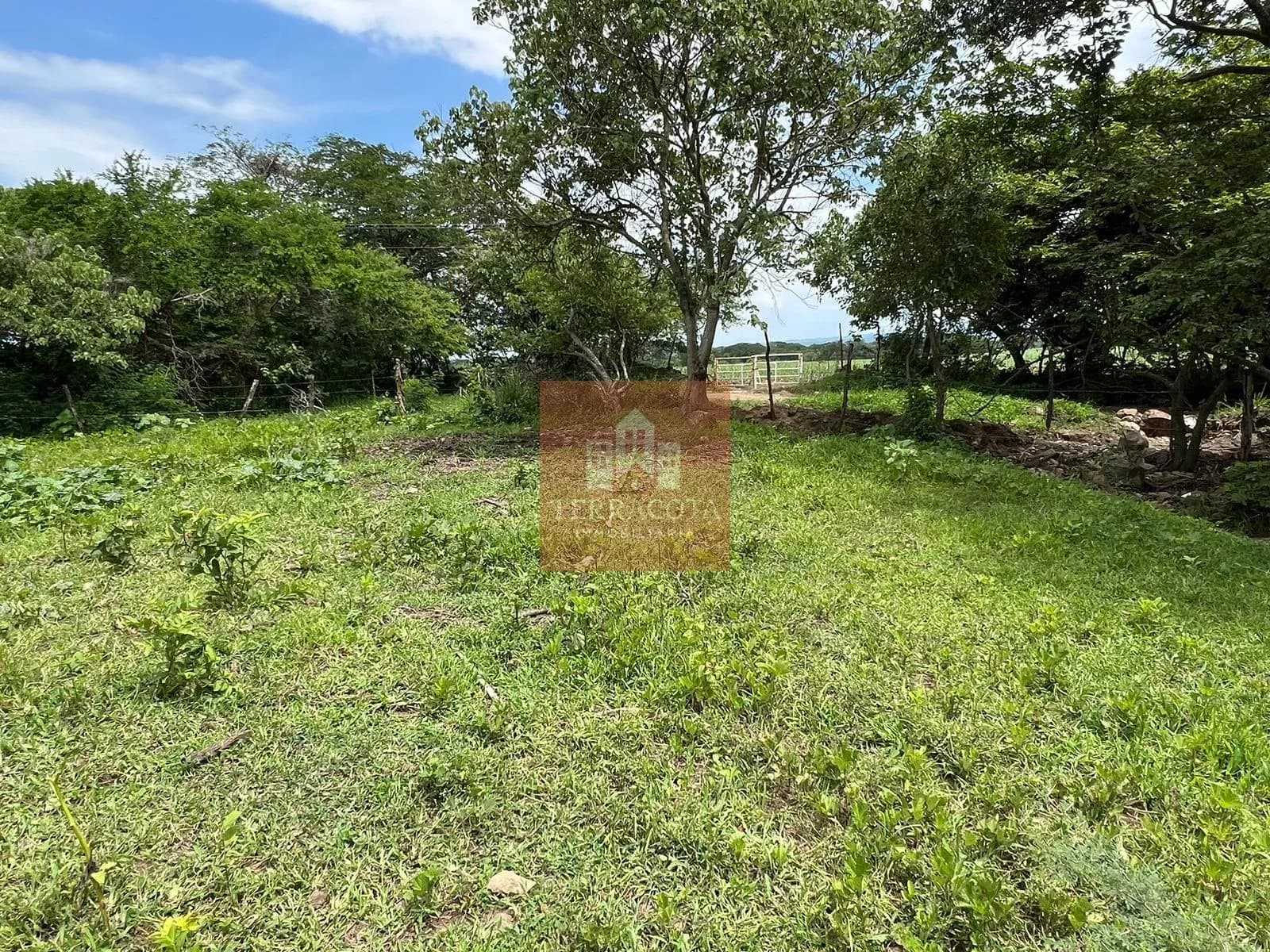 Terreno Campestre Trapiche — foto 2 de 5