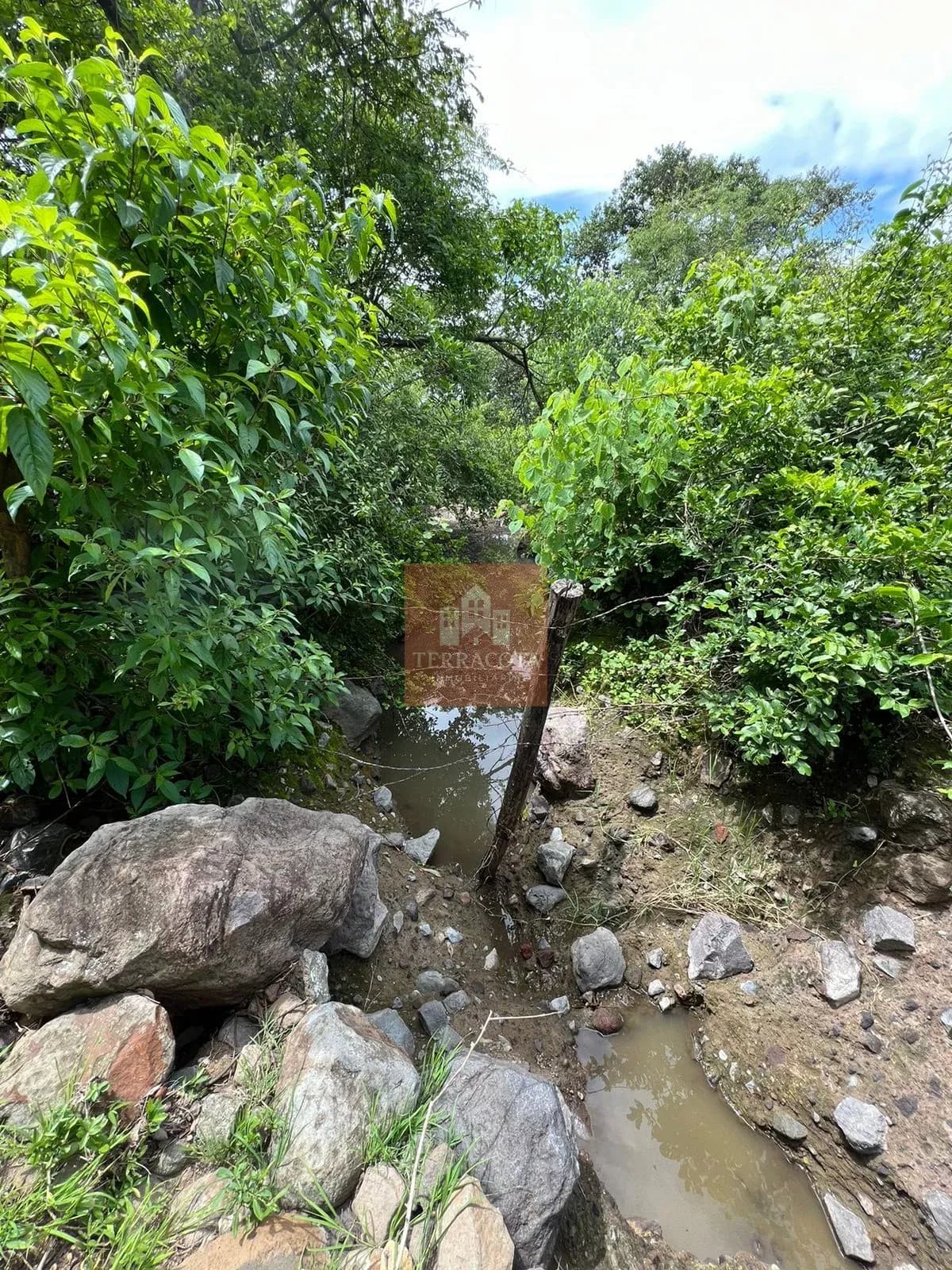 Terreno Campestre Trapiche — foto 4 de 5