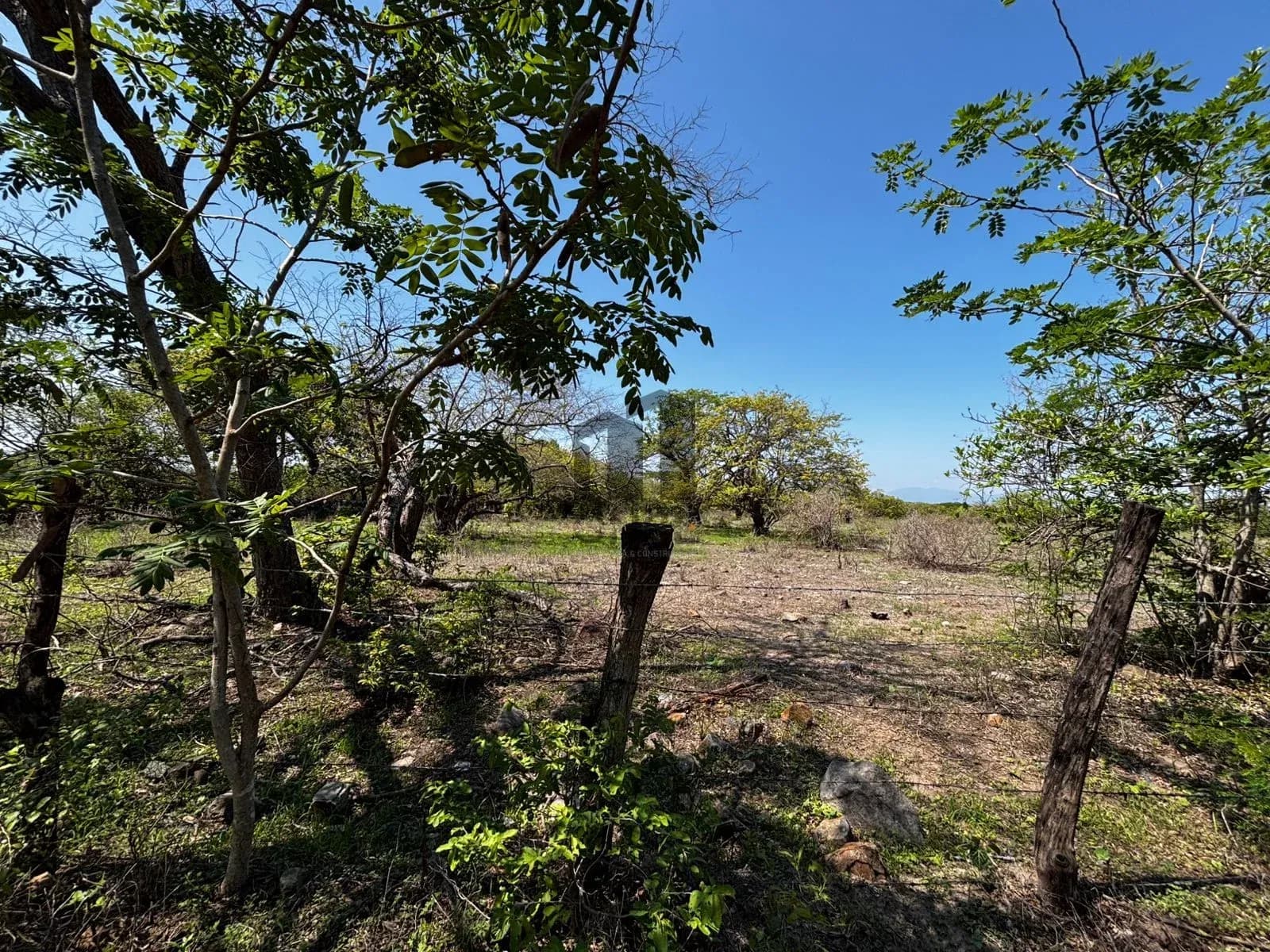 Hectáreas en venta en San Joaquín, Cuauhtémoc, Colima — foto 9 de 25