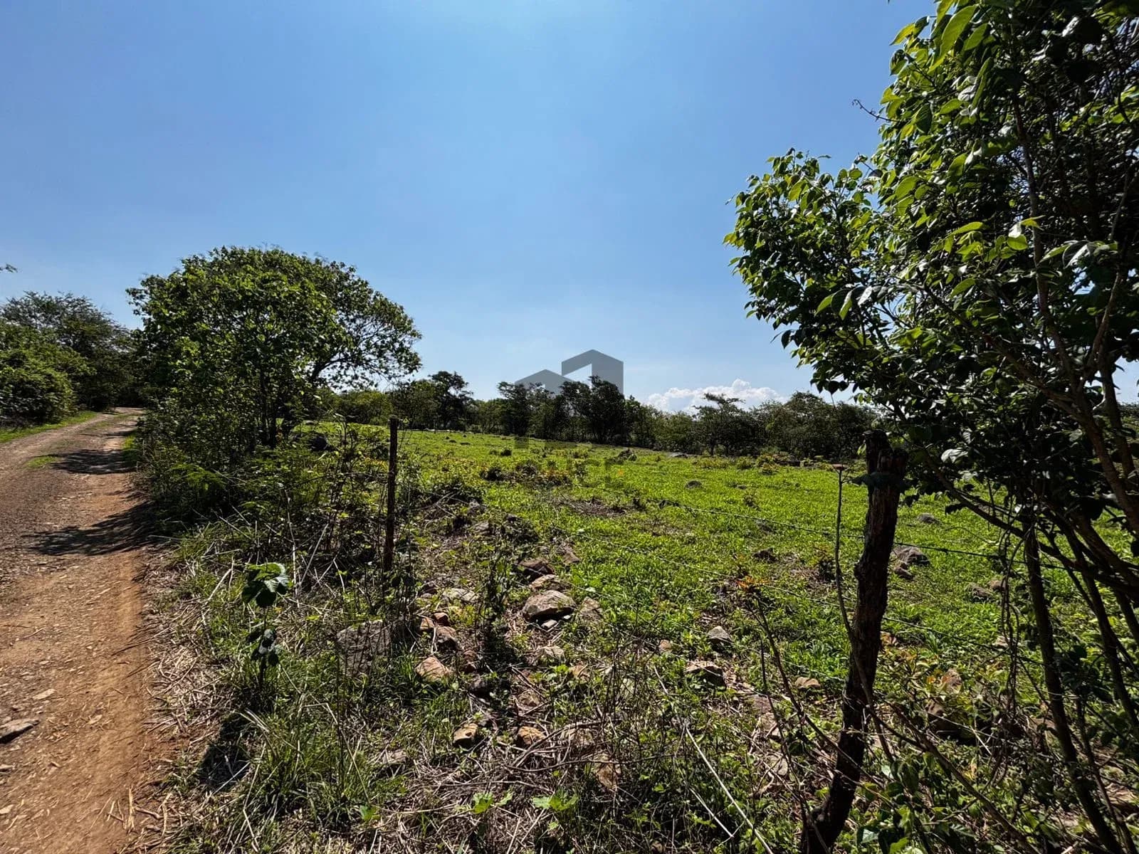 Hectáreas en venta en San Joaquín, Cuauhtémoc, Colima — foto 13 de 25