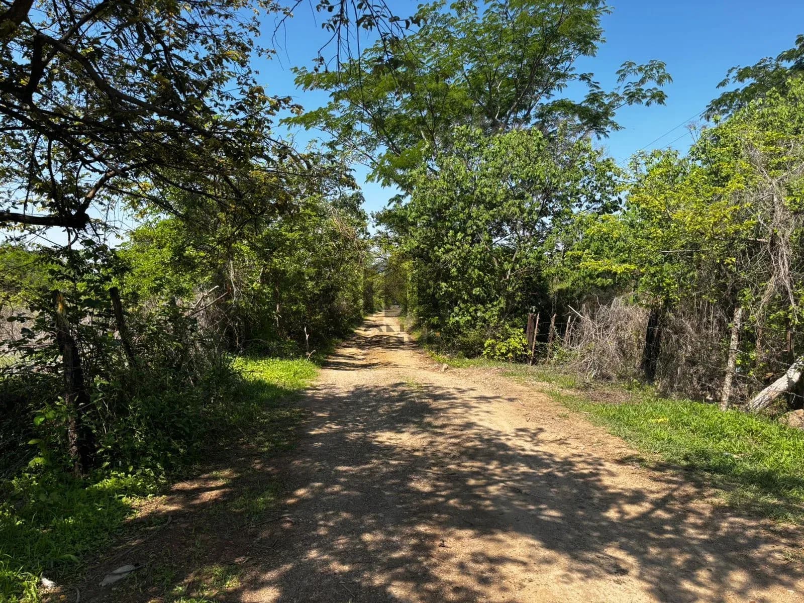 Hectáreas en venta en San Joaquín, Cuauhtémoc, Colima — foto 15 de 25